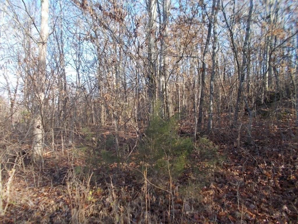 414 Doane Rd, New Market, TN 37820